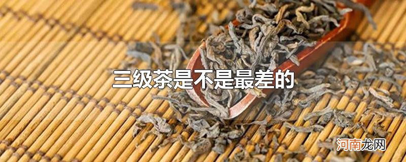 三级茶是不是最差的