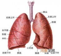 过敏性咳嗽与哮喘的关系