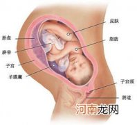 分娩和早产儿的处理