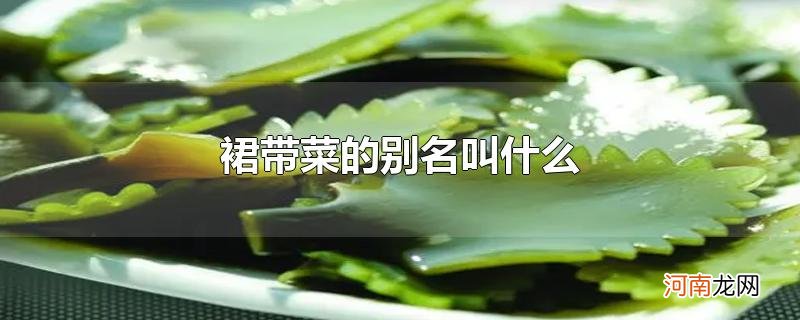 裙带菜的别名叫什么