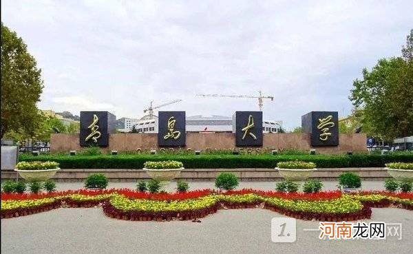 青岛大学是211还是985 青岛大学是一本还是二本优质