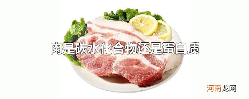 肉是碳水化合物还是蛋白质