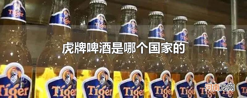 虎牌啤酒是哪个国家的