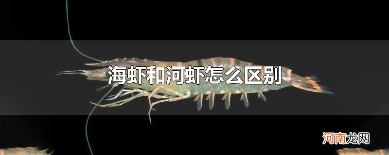 海虾和河虾怎么区别