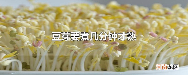 豆芽要煮几分钟才熟