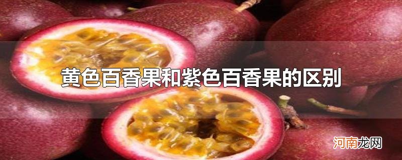 黄色百香果和紫色百香果的区别