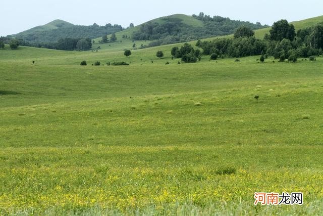 木兰围场坝上草原游玩攻略 木兰围场旅游攻略