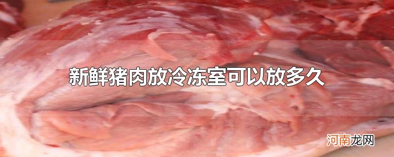 新鲜猪肉放冷冻室可以放多久