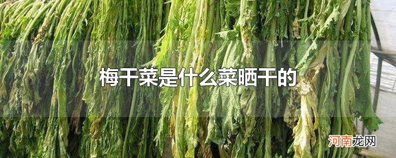 梅干菜是什么菜晒干的