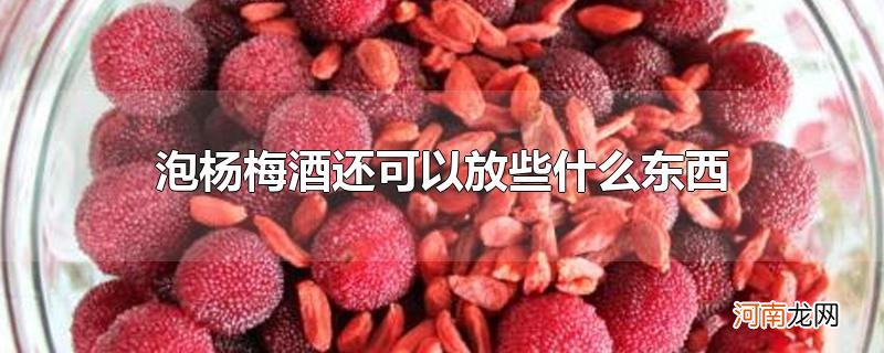 泡杨梅酒还可以放些什么东西