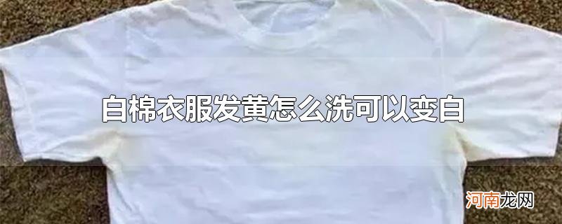 白棉衣服发黄怎么洗可以变白