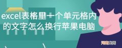 excel表格里一个单元格内的文字怎么换行苹果电脑优质