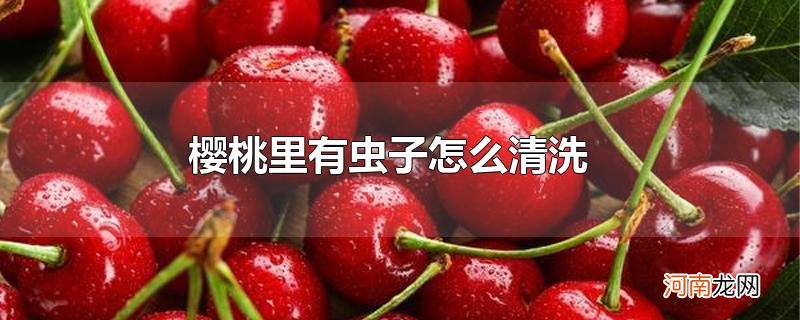 樱桃里有虫子怎么清洗