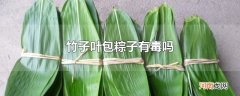 竹子叶包粽子有毒吗