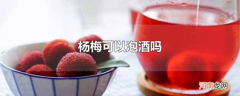 杨梅可以泡酒吗