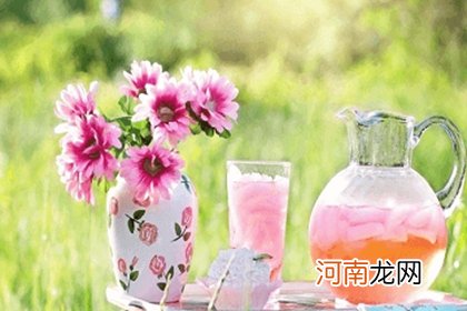 绿植花卉店名字大全简洁大气 绿植店起什么名字