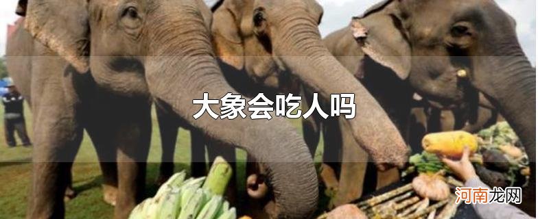 大象会吃人吗