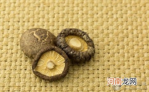 宝宝多大可以吃香菇 怎么给宝宝吃