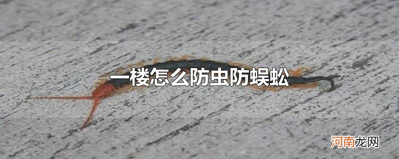 一楼怎么防虫防蜈蚣?