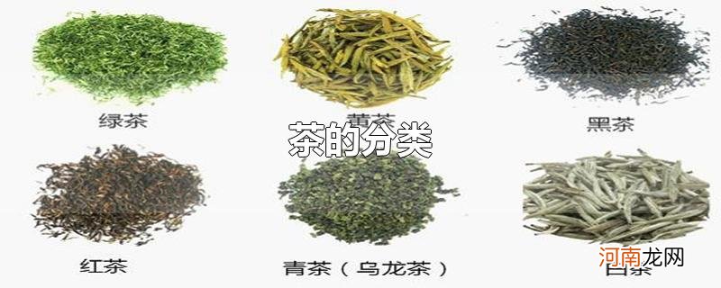 茶的分类