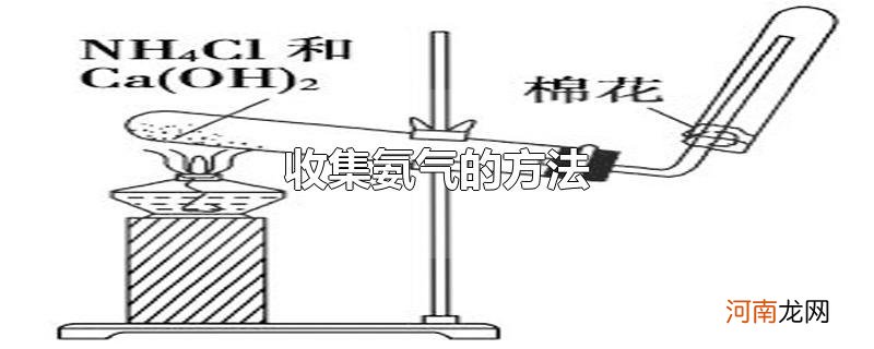 收集氨气的方法