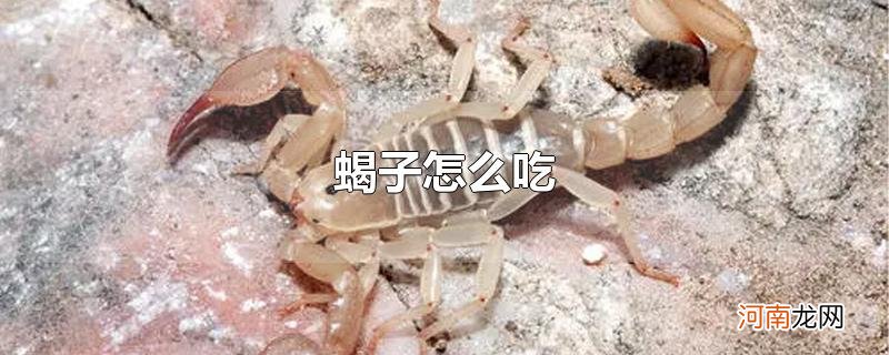 蝎子怎么吃