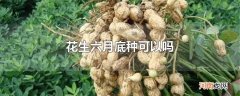 花生六月底种可以吗