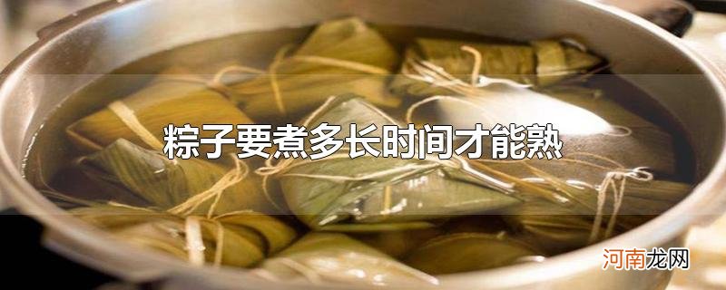 粽子要煮多长时间才能熟