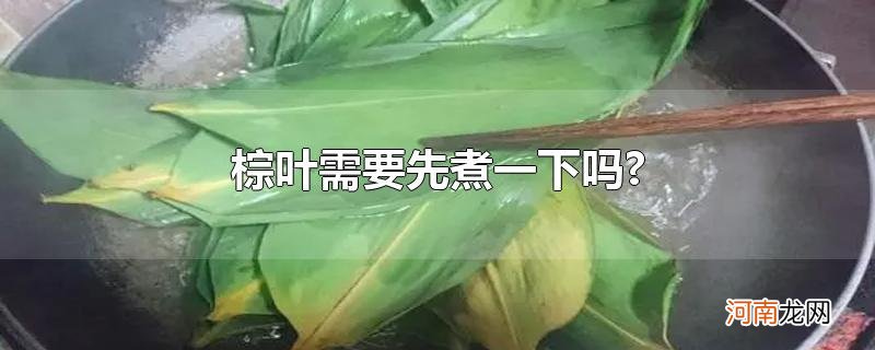 棕叶需要先煮一下吗?