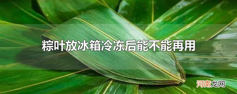 粽叶放冰箱冷冻后能不能再用