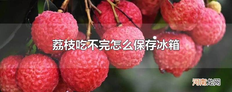 荔枝吃不完怎么保存冰箱