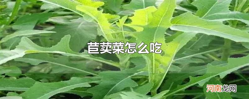 苣荬菜怎么吃