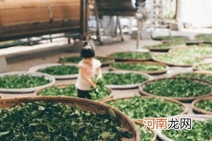 好听大气的茶叶店名称 茶店名字大气一点的