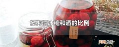 杨梅酒冰糖和酒的比例