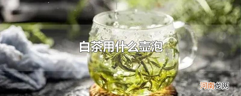 白茶用什么壶泡