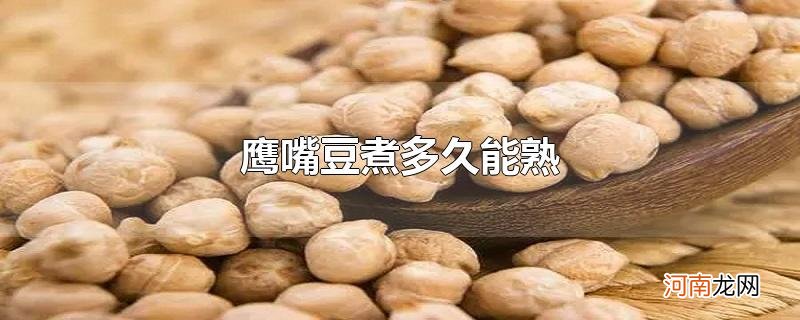 鹰嘴豆煮多久能熟