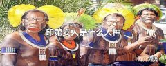 印第安人是什么人种