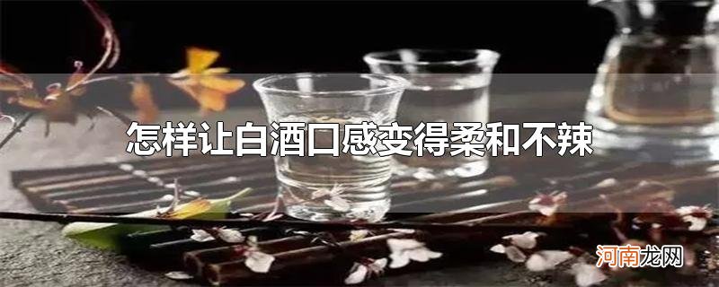 怎样让白酒口感变得柔和不辣