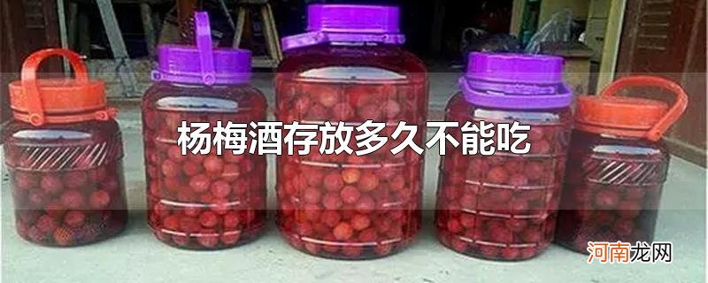 杨梅酒存放多久不能吃