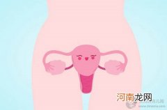 夏季宝宝容易腹泻？教你如何正确的区分症状和应对