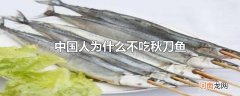 中国人为什么不吃秋刀鱼