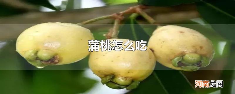 蒲桃怎么吃