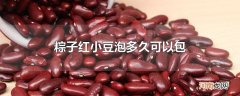 粽子红小豆泡多久可以包