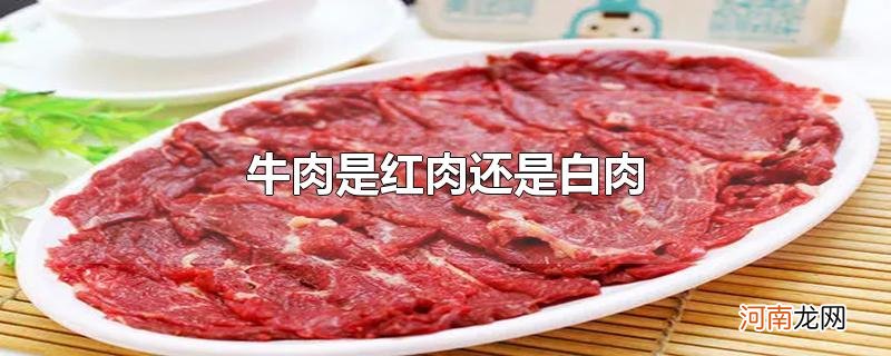 牛肉是红肉还是白肉