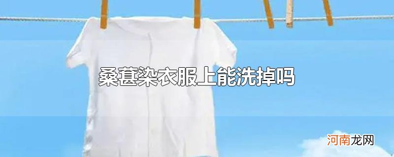 桑葚染衣服上能洗掉吗