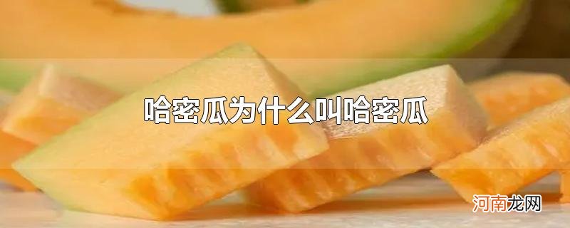 哈密瓜为什么叫哈密瓜