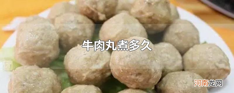 牛肉丸煮多久