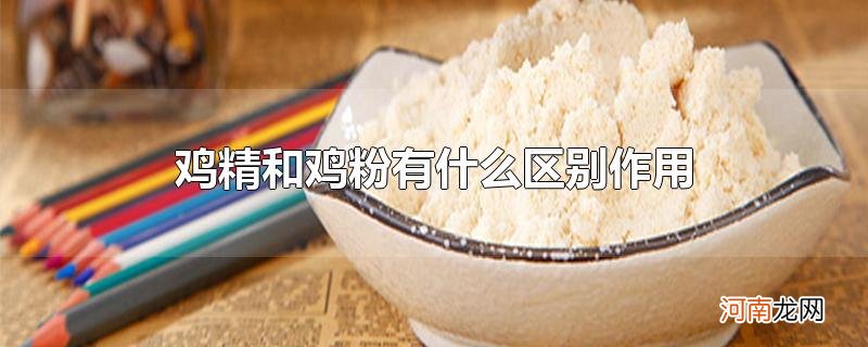 鸡精和鸡粉有什么区别作用