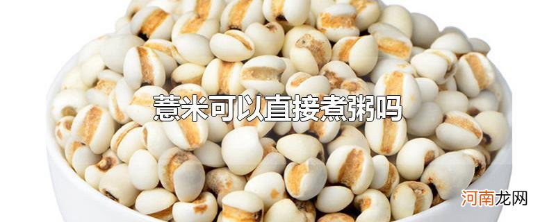 薏米可以直接煮粥吗