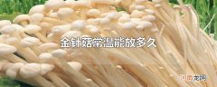 金针菇常温能放多久
